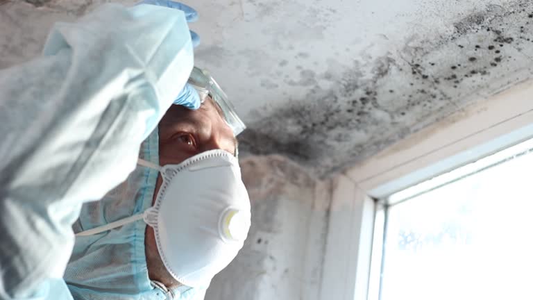 Trusted Charles City, IA Mold Removal Experts